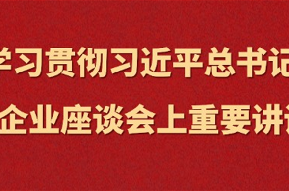 博天堂集团集中进建习近平总书记在民营企业座谈会上沉要讲话心灵